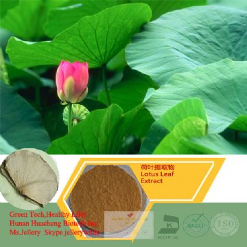 Lotus Leaf Extract